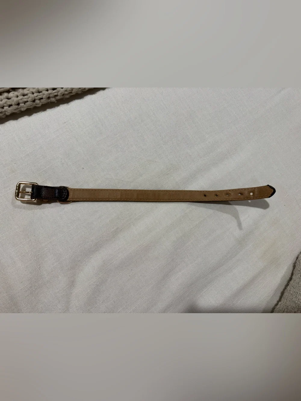 LV Dog Collar